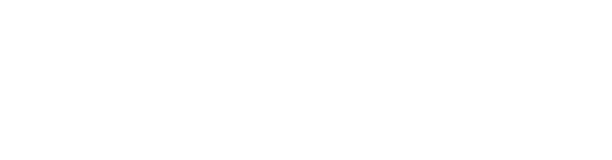 ServiCargo Express Logo